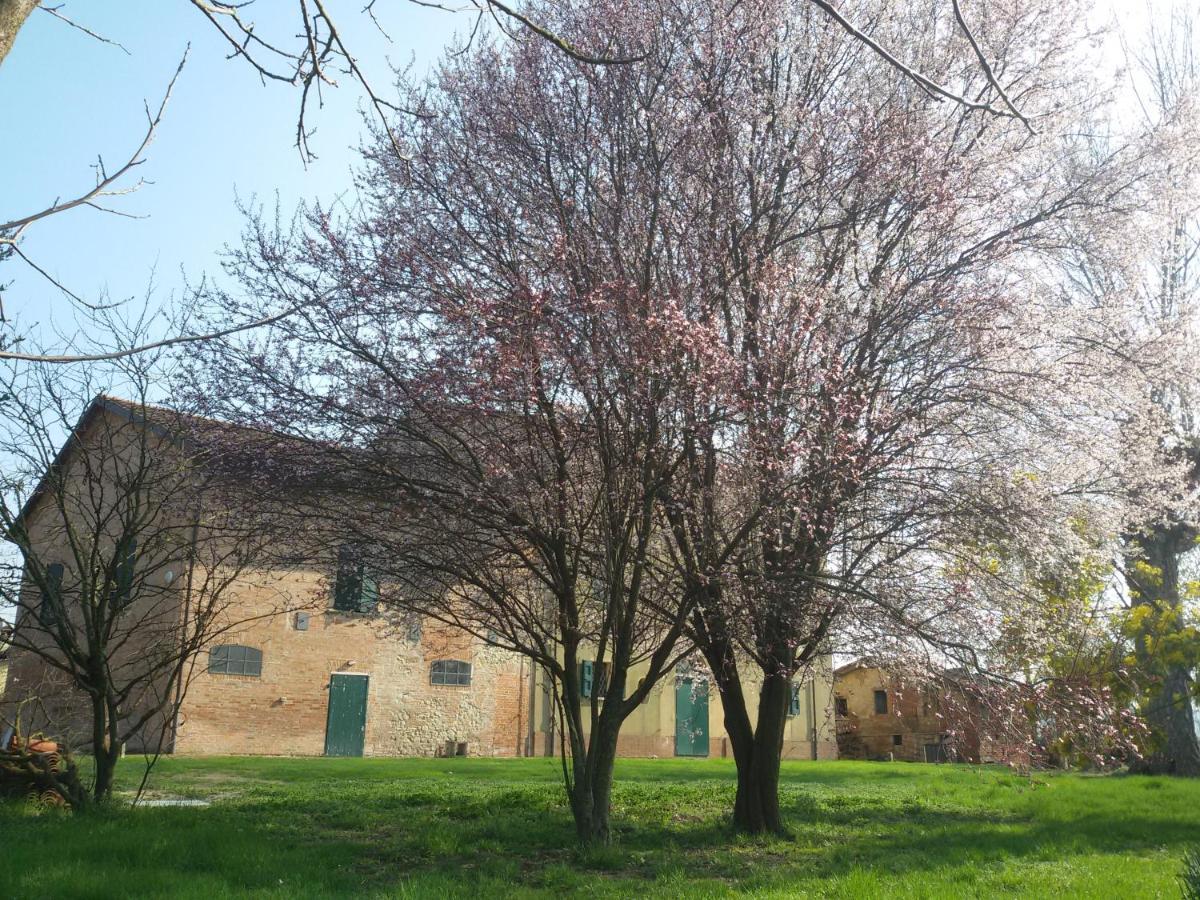 Bed and Breakfast Il Boschetto Di Morgana Castel San Pietro Terme Exteriér fotografie