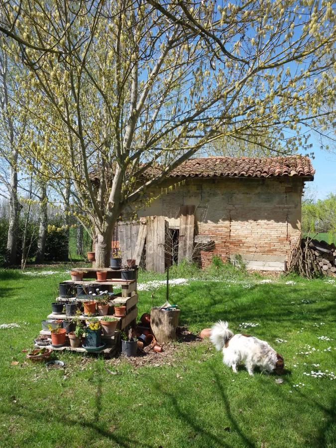 Bed and Breakfast Il Boschetto Di Morgana Castel San Pietro Terme Exteriér fotografie
