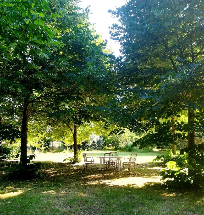 Bed and Breakfast Il Boschetto Di Morgana Castel San Pietro Terme Exteriér fotografie