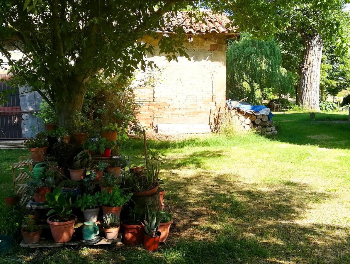 Bed and Breakfast Il Boschetto Di Morgana Castel San Pietro Terme Exteriér fotografie